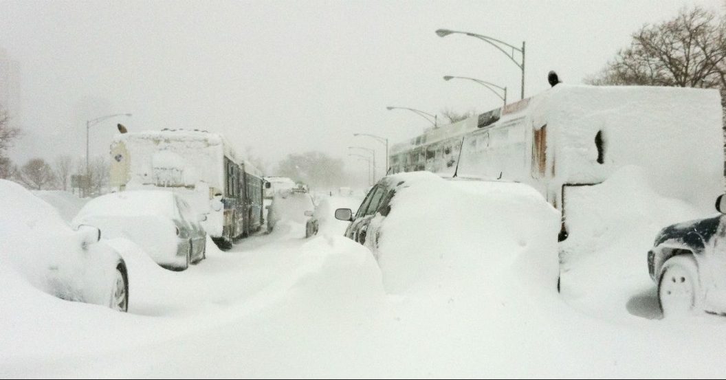 cars covered by snow